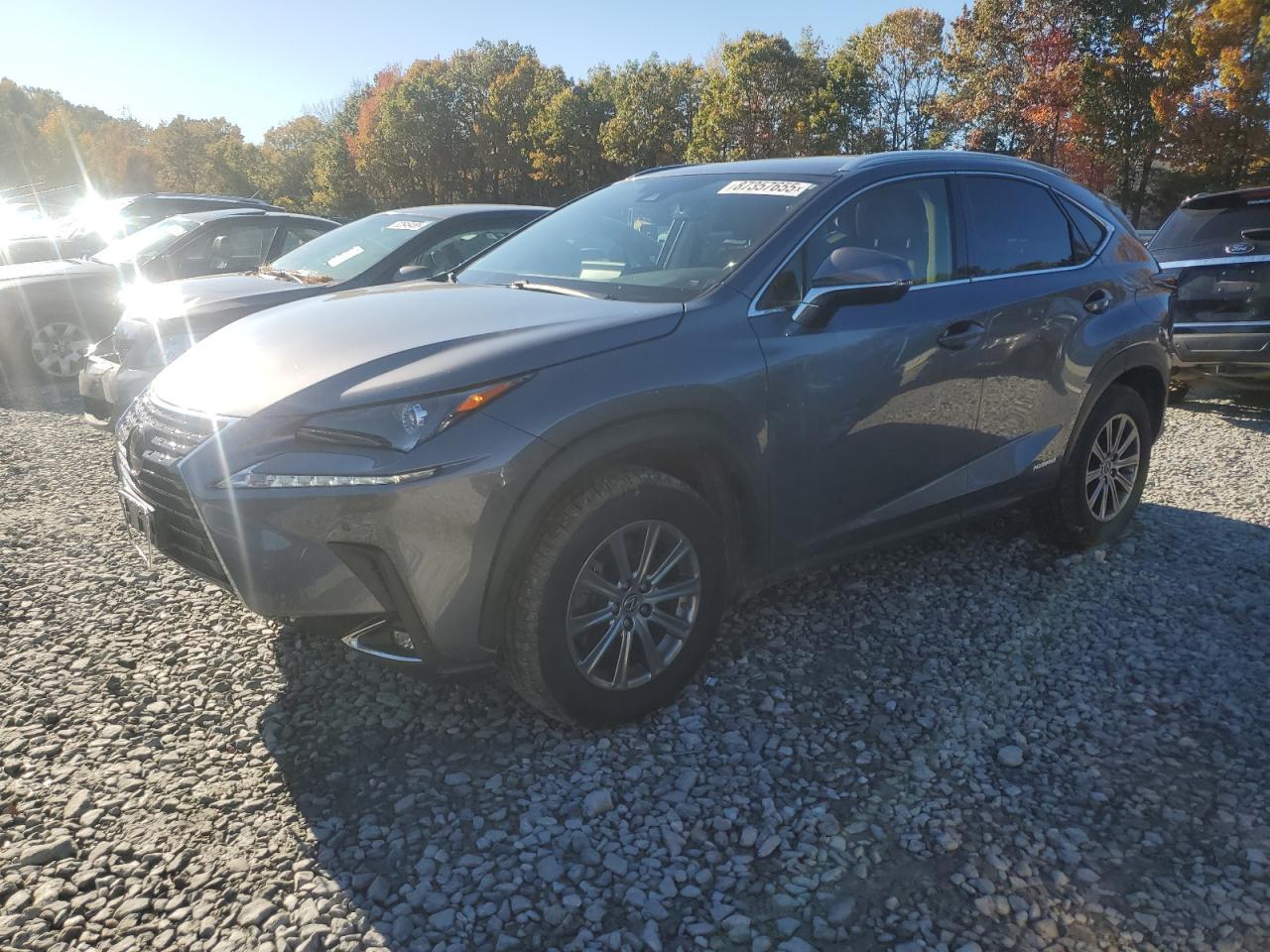 2020 LEXUS Nx