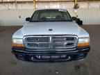 2002 DODGE Dakota