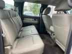 2009 FORD F-150