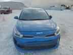 2023 KIA RIO