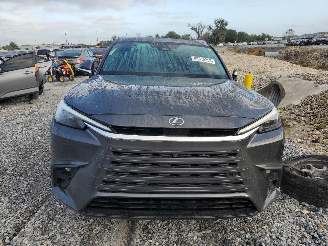 2024 LEXUS Tx