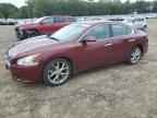 2010 NISSAN Maxima