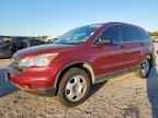 2010 HONDA CR-V