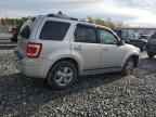 2009 FORD ESCAPE