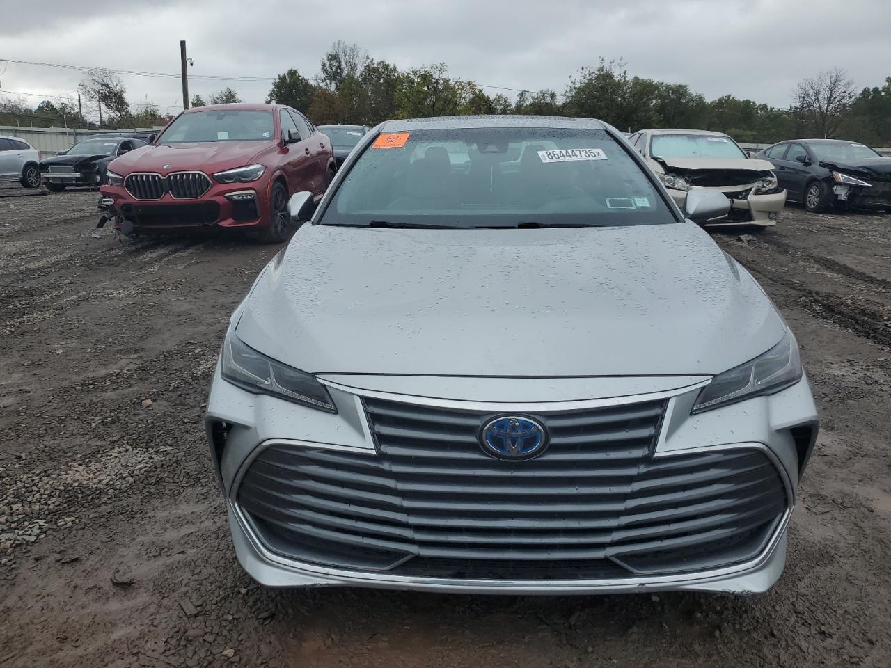2019 TOYOTA Avalon