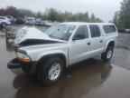 2003 DODGE Dakota