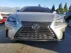 2019 LEXUS NX 300
