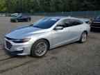 2019 CHEVROLET MALIBU