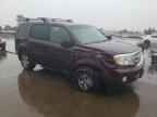 2009 HONDA PILOT