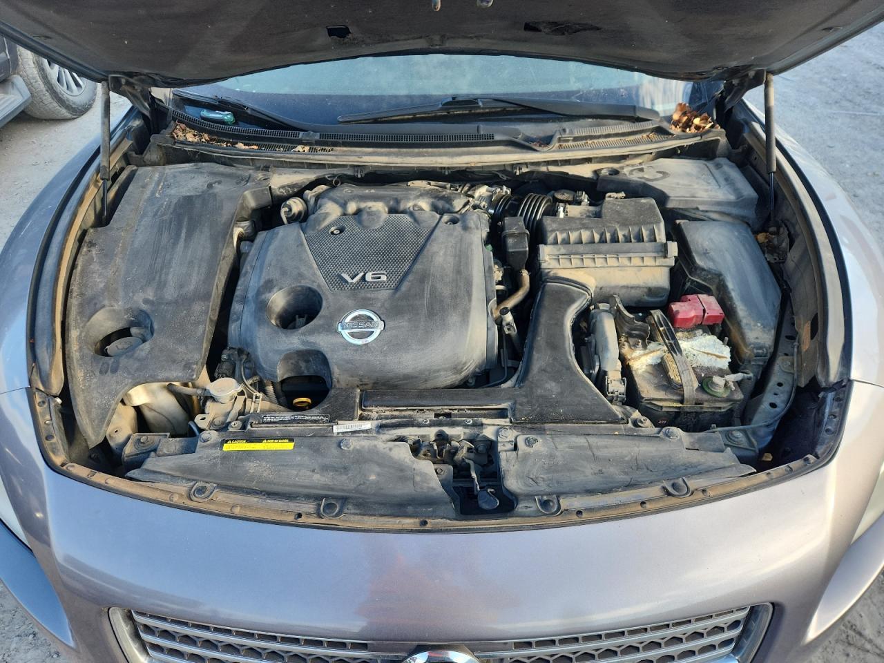 2010 NISSAN Maxima