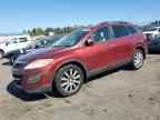 2010 MAZDA CX-9