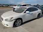 2014 NISSAN Maxima