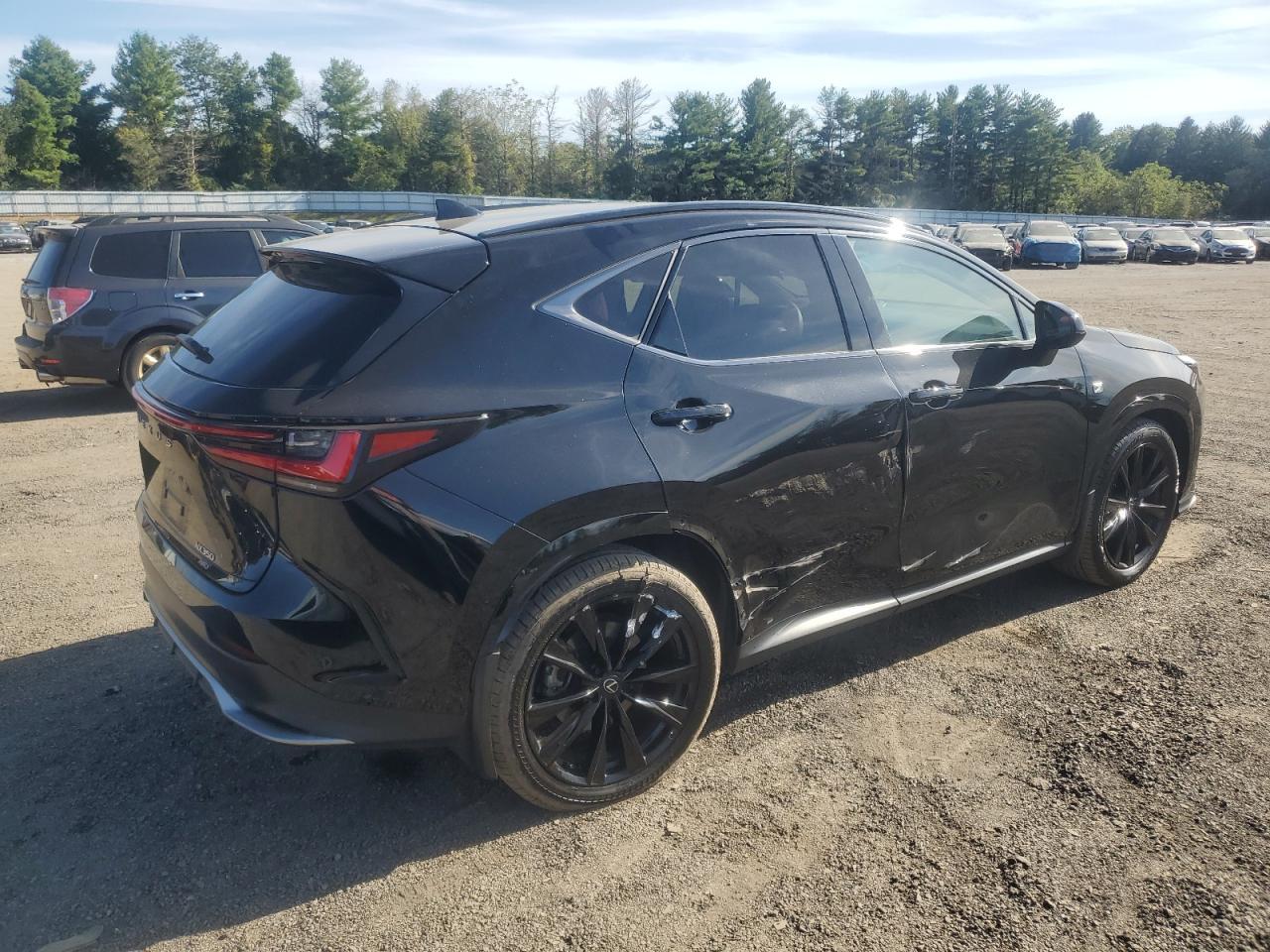 2025 LEXUS Nx