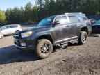 2010 TOYOTA 4Runner
