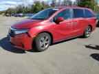 2023 HONDA ODYSSEY