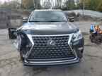 2023 LEXUS Gx