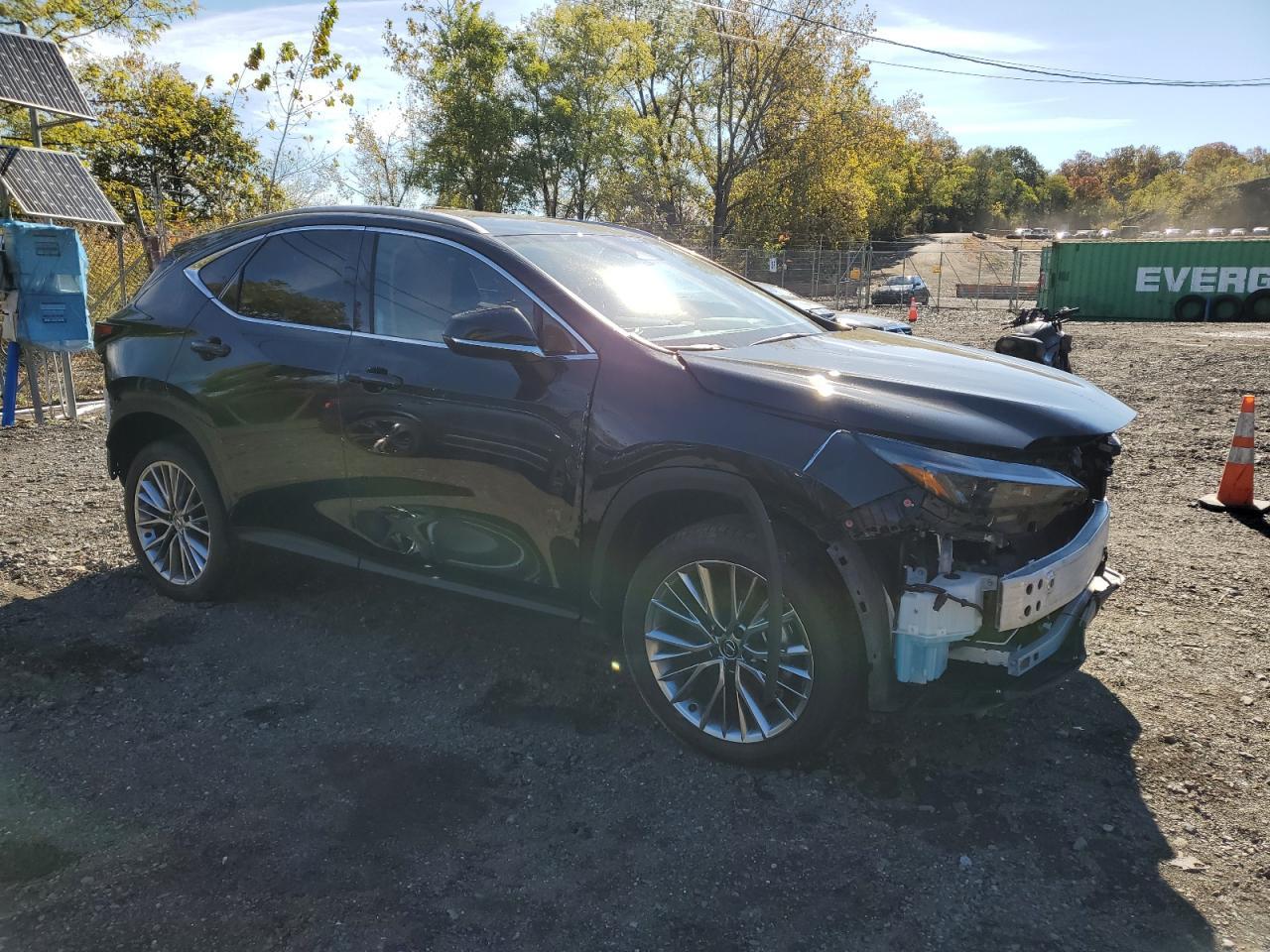 2025 LEXUS Nx