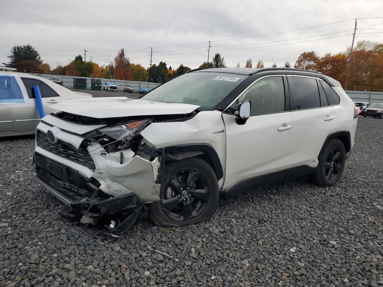 2019 TOYOTA RAV4