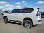 2023 LEXUS Gx