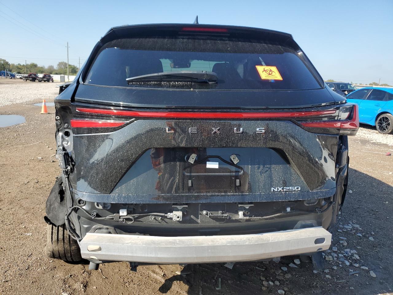 2024 LEXUS NX 250