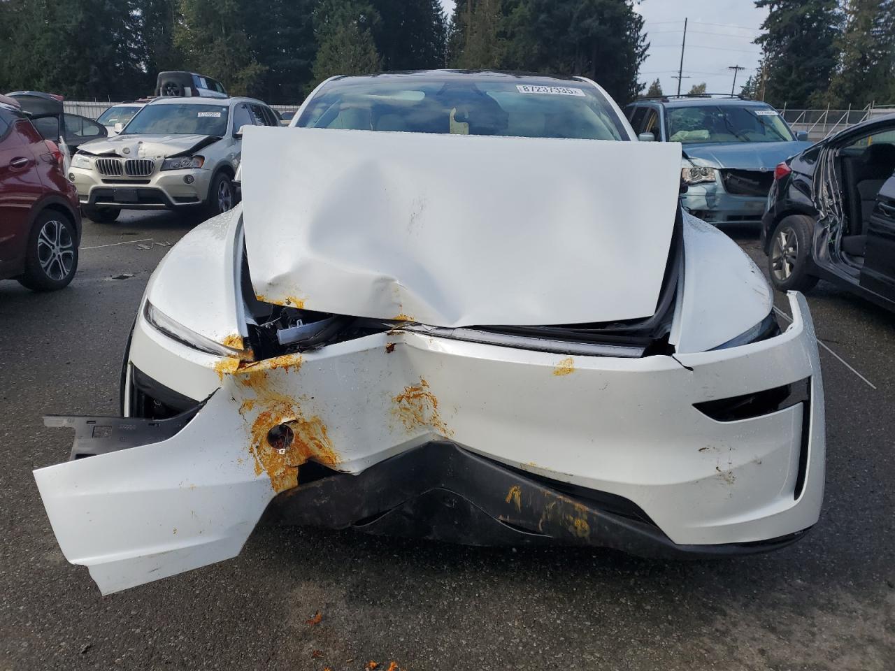 2026 TESLA MODEL Y