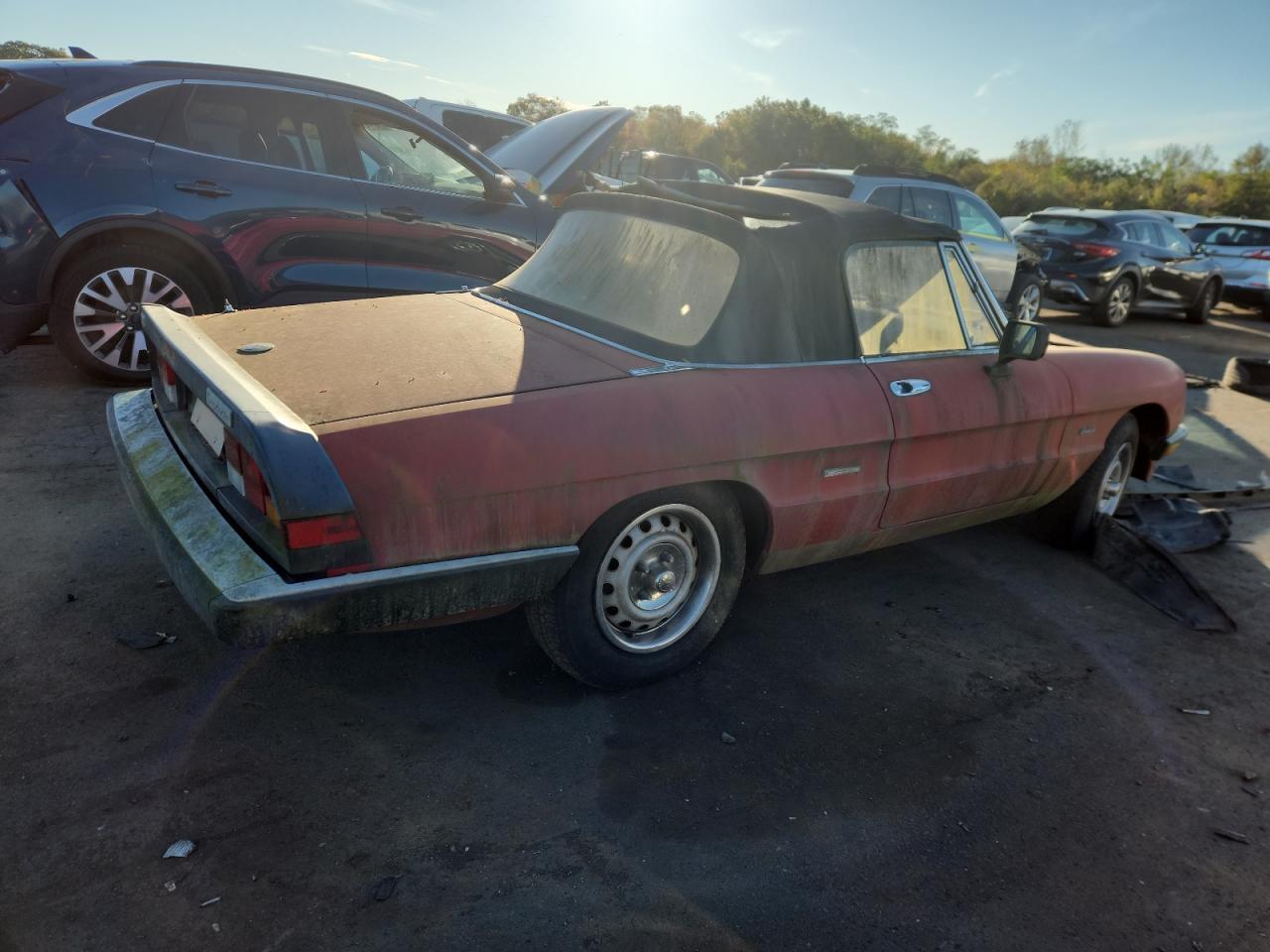 1987 ALFA ROMEO Spider