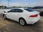 2019 JAGUAR XE