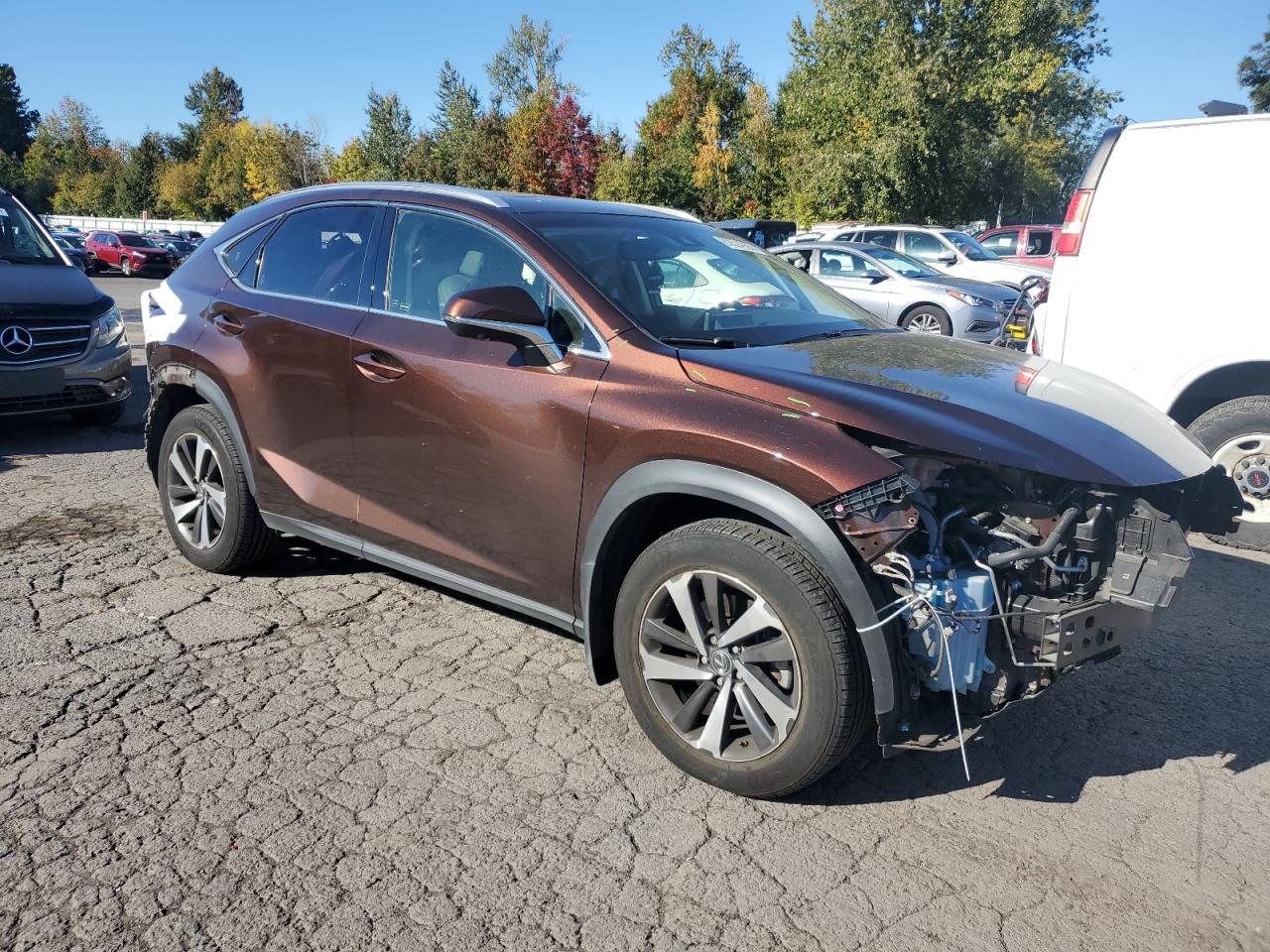 2019 LEXUS NX 300