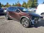 2019 LEXUS NX 300