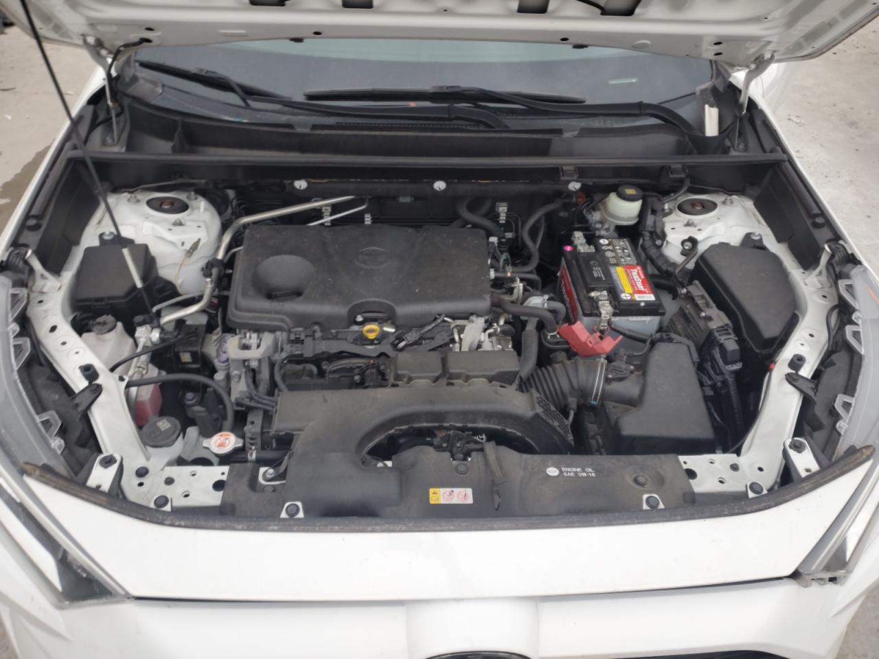 2019 TOYOTA RAV4