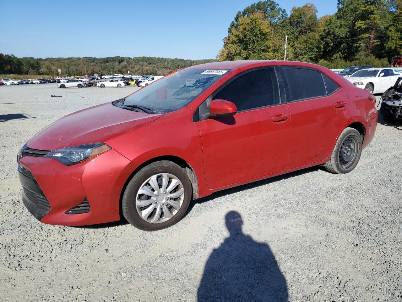 2019 TOYOTA COROLLA