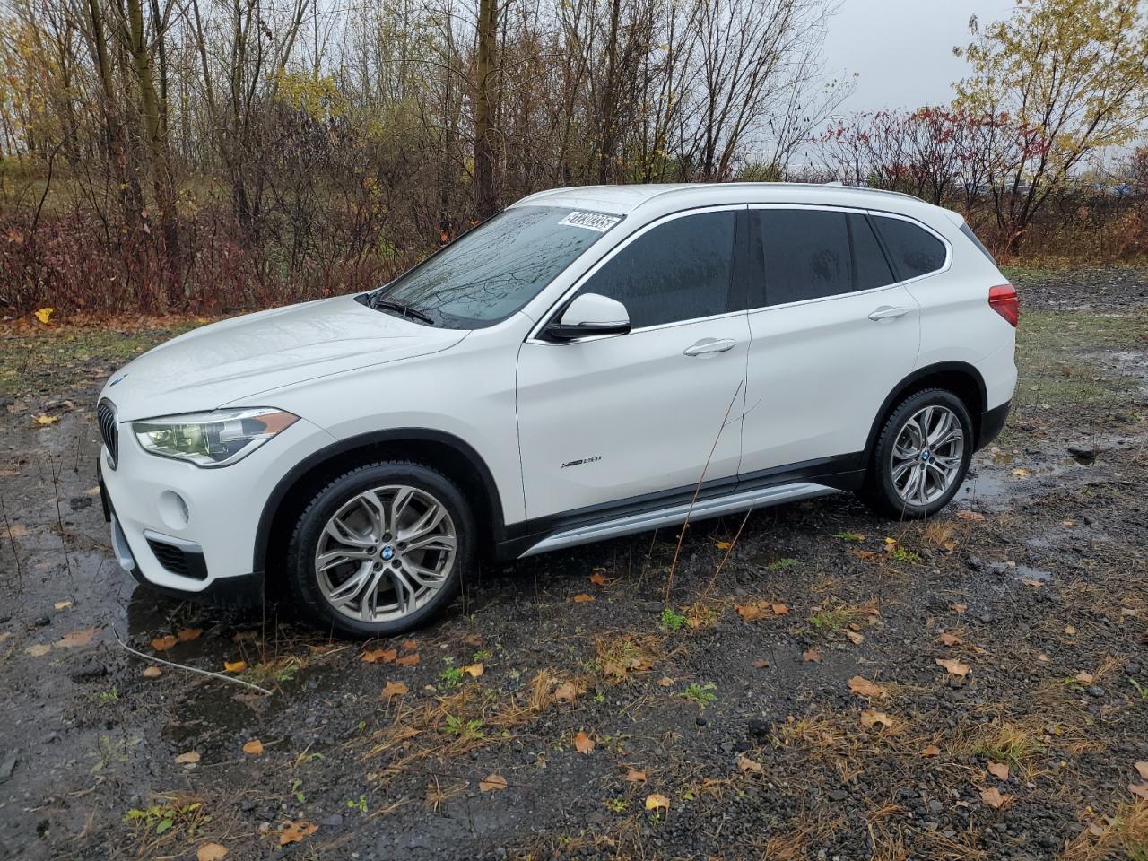 2017 BMW X1