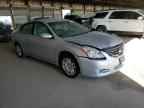2010 NISSAN ALTIMA