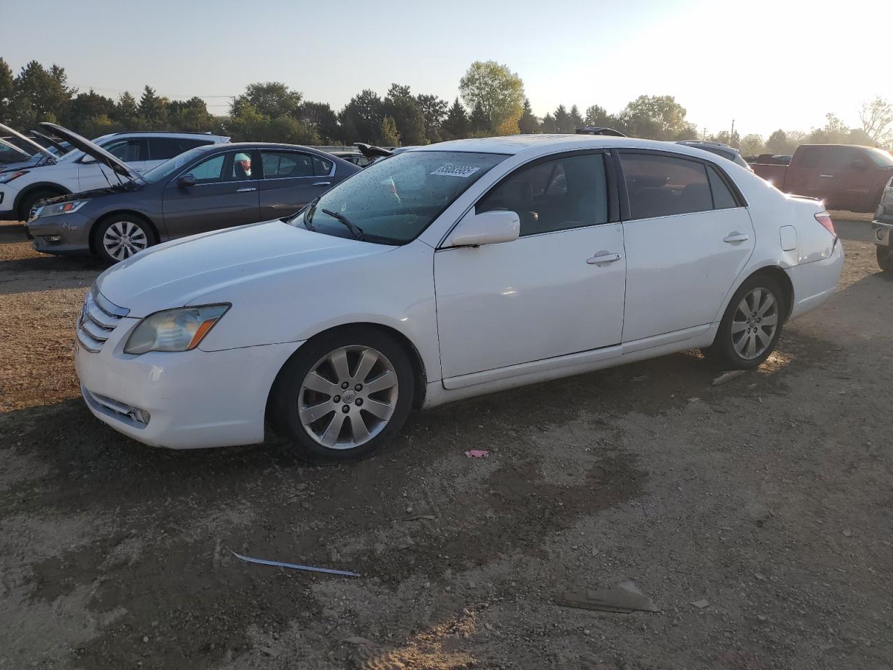 2005 TOYOTA Avalon