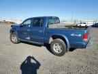 2004 DODGE Dakota