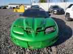 2002 PONTIAC Firebird