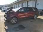 2024 KIA Carnival