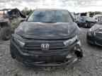 2023 HONDA ODYSSEY