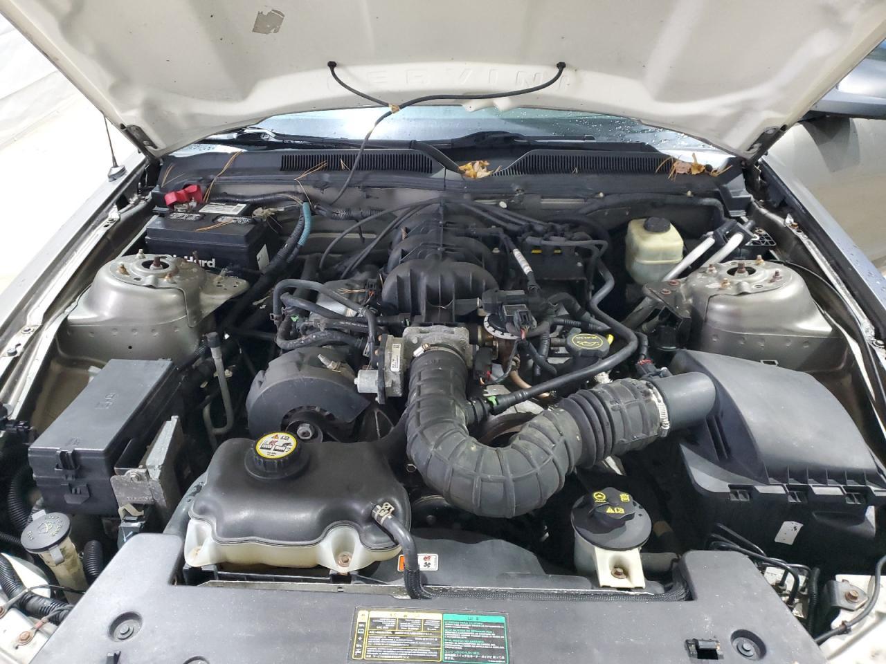 2005 FORD MUSTANG