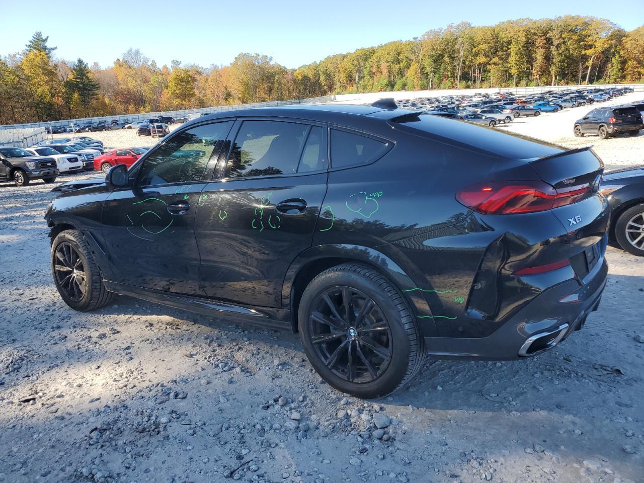 2020 BMW X6