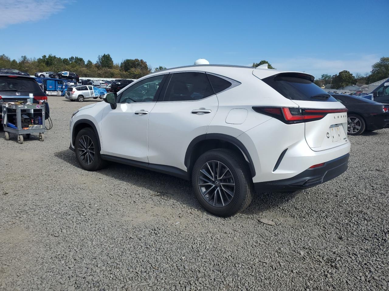 2022 LEXUS Nx