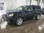 2013 HONDA PILOT