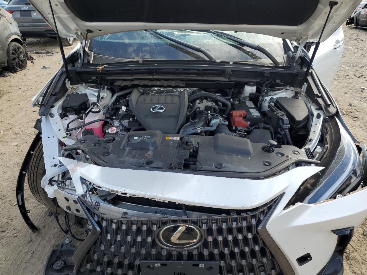 2024 LEXUS Nx