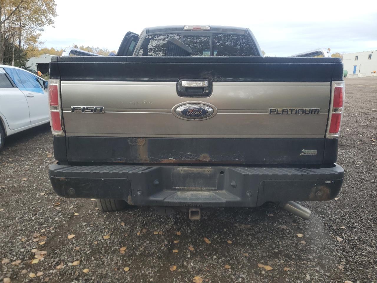 2010 FORD F-150