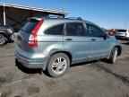 2010 HONDA CR-V