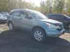 2011 HONDA CR-V