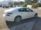 2013 NISSAN Maxima