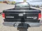 2003 DODGE Dakota