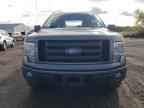 2009 FORD F-150