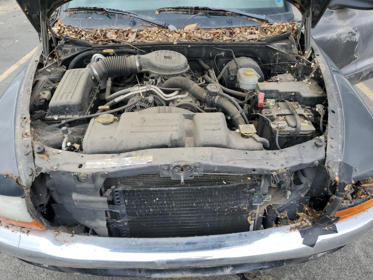 2003 DODGE Dakota